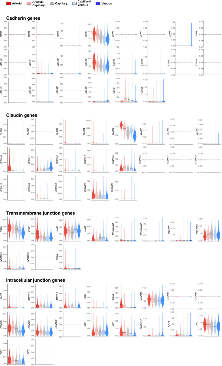 Figure 1—figure supplement 5.