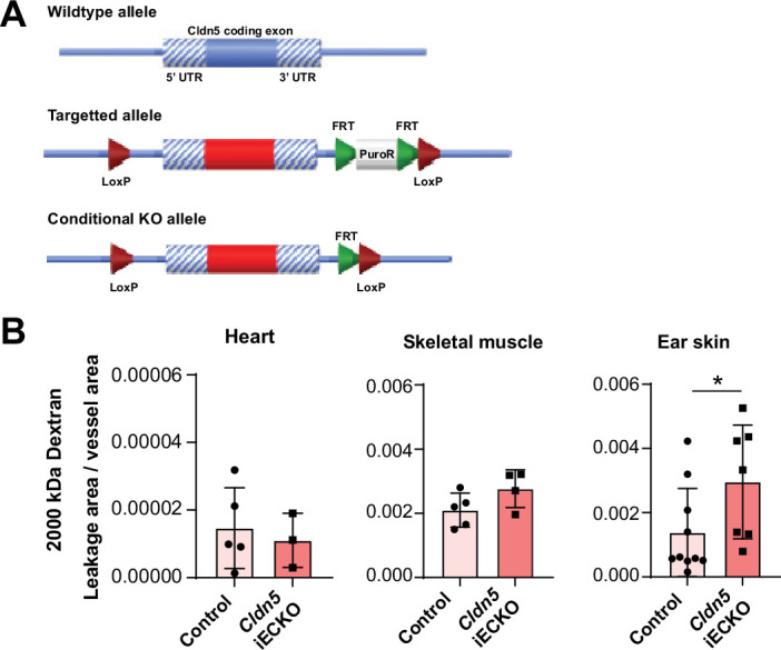 Figure 3—figure supplement 1.