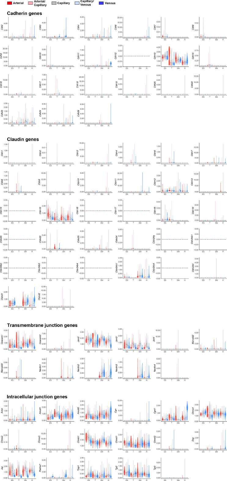 Figure 1—figure supplement 3.