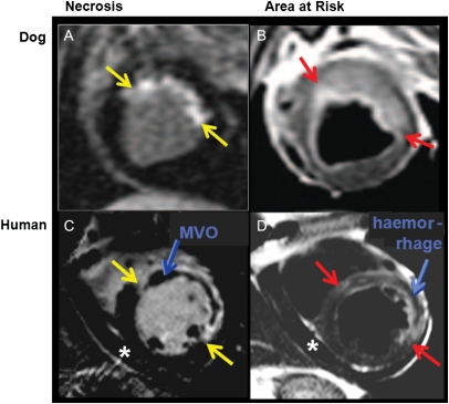 Figure 6