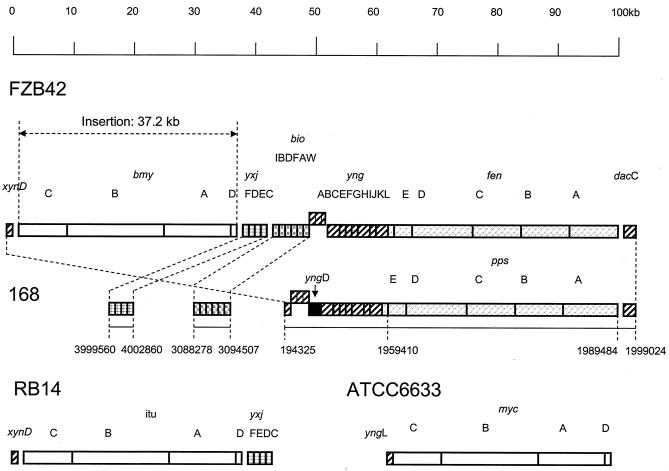 FIG. 4.