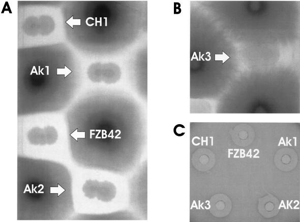 FIG. 6.