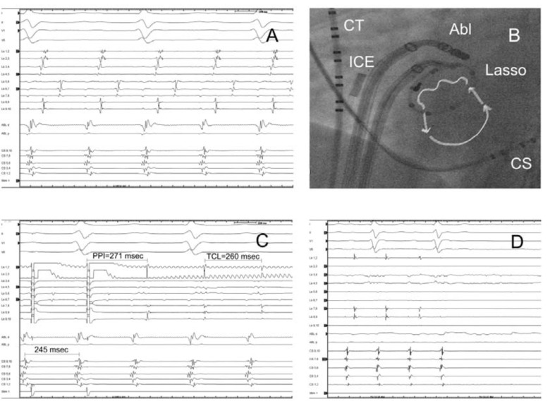 Fig. (4)