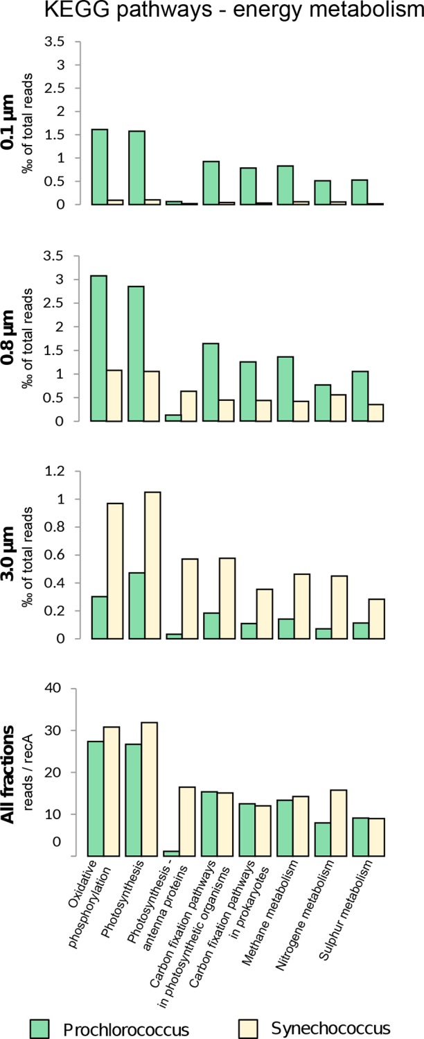 Fig 5