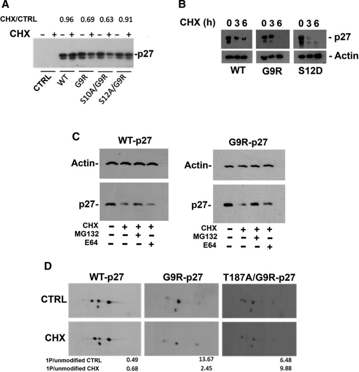 Fig. 7