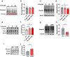 Fig. 2.