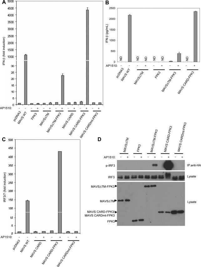 FIG. 2.