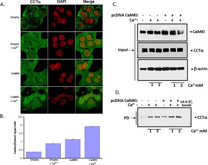 FIGURE 3: