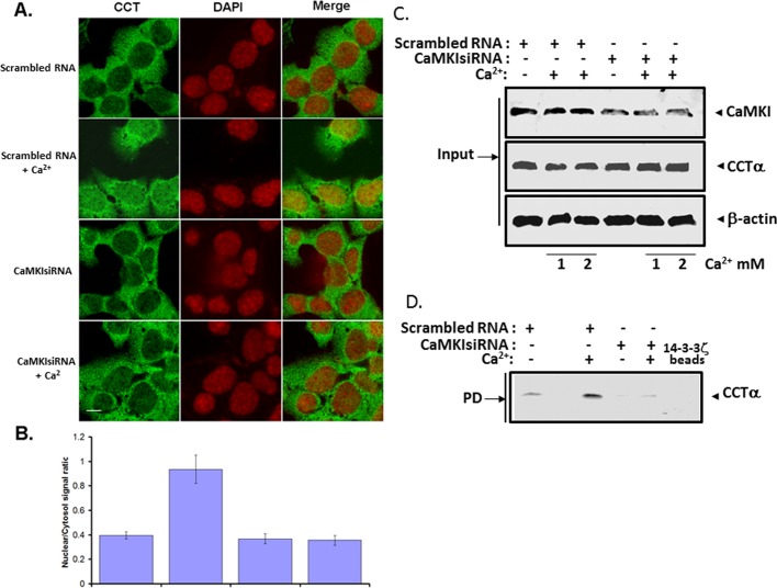 FIGURE 2: