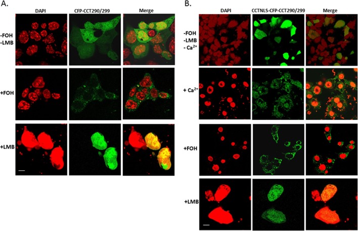 FIGURE 11: