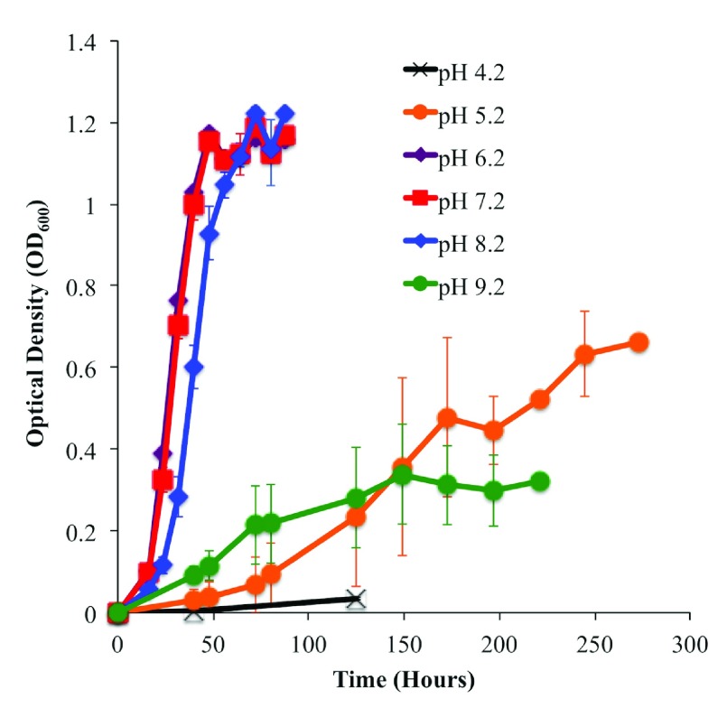 Figure 3. 