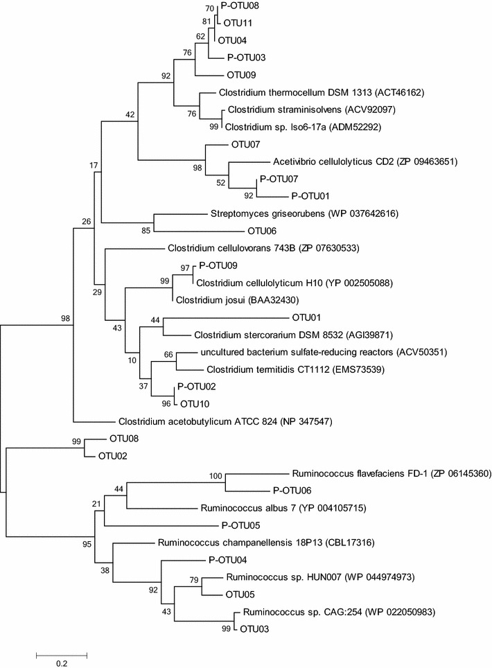 Fig. 6