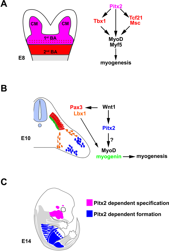 Figure 3.