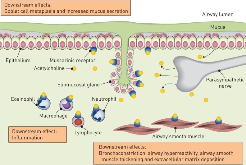 FIGURE 1