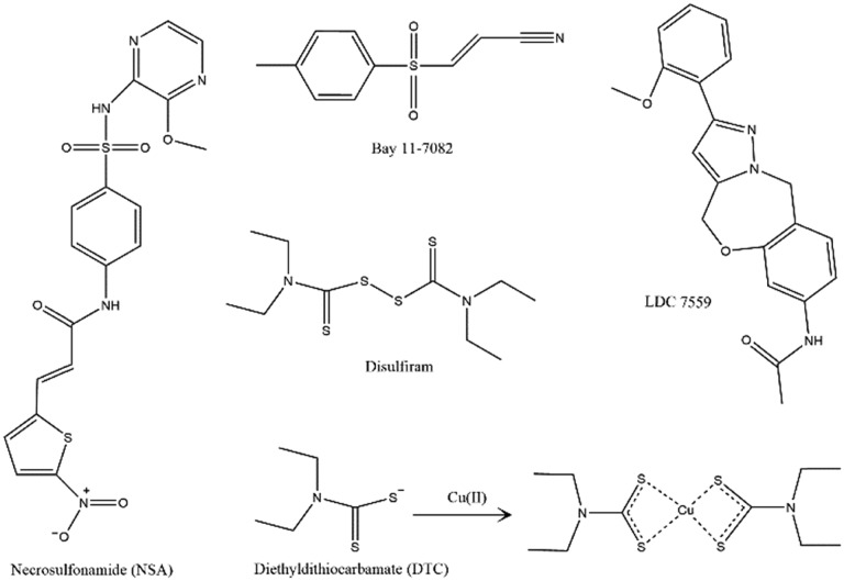 Fig. 3