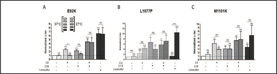 Fig. 8.