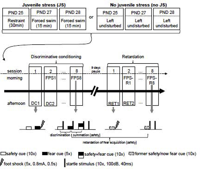 Figure 1: