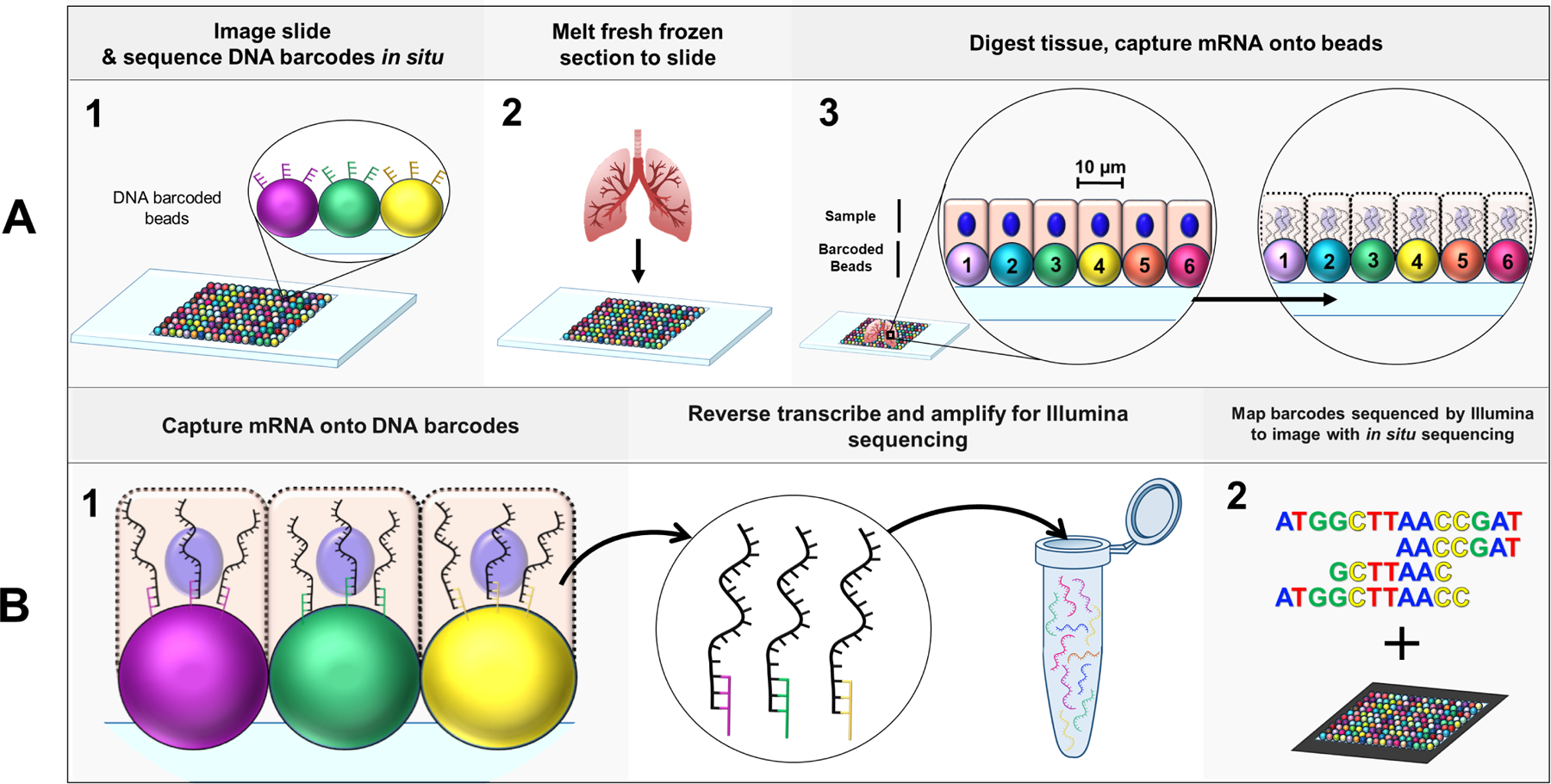 Figure 1: