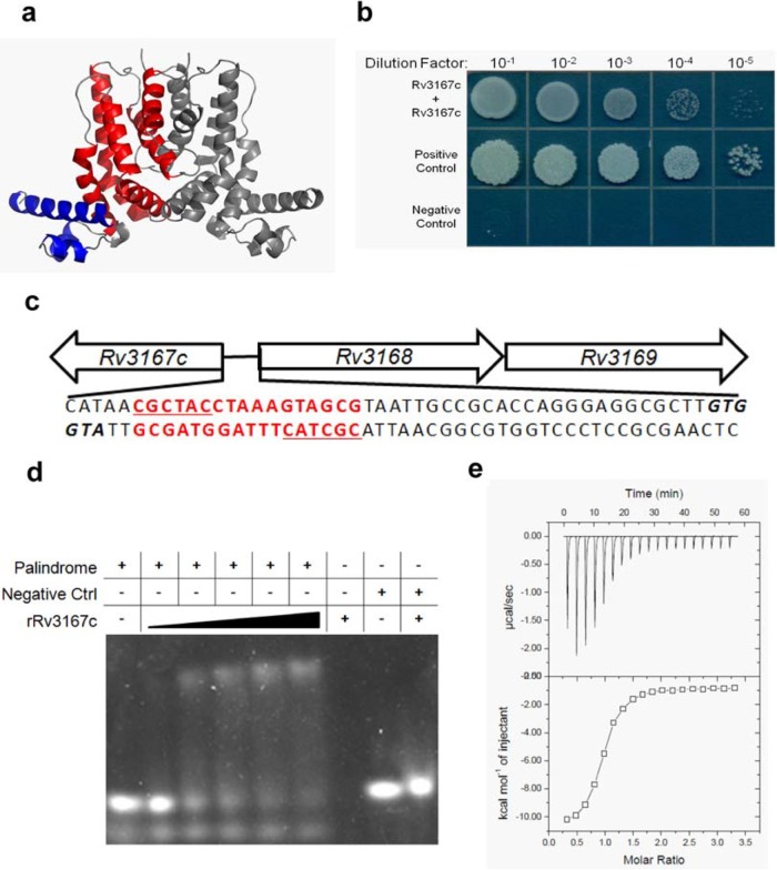 FIG 1 