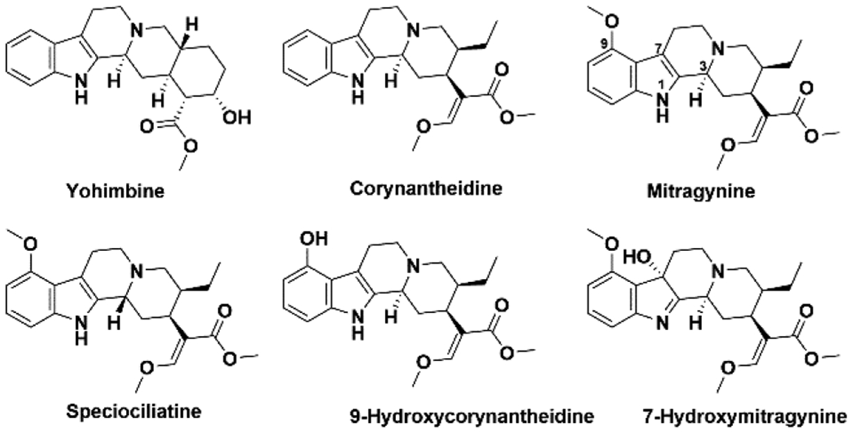 Figure 1.