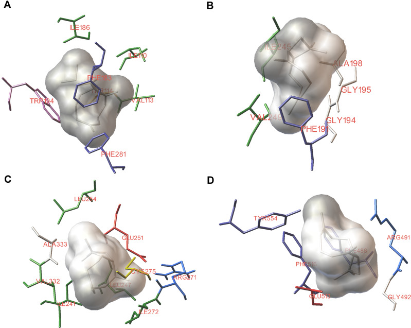 Figure 6