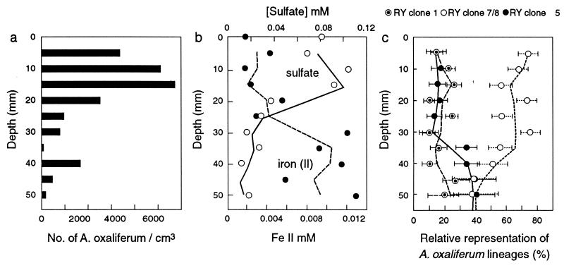 FIG. 7