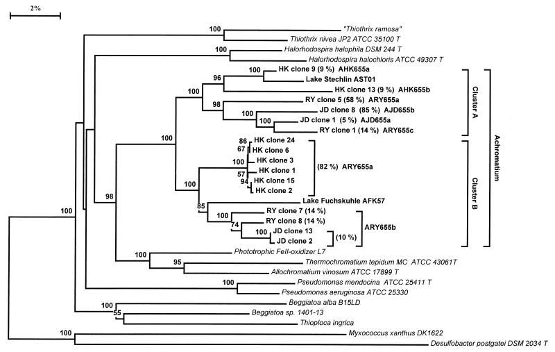 FIG. 1