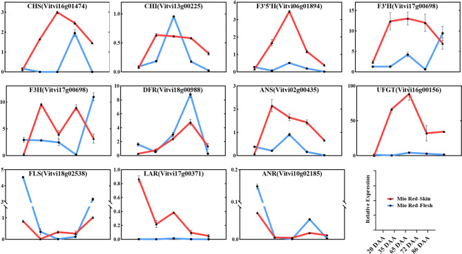 Fig. 4