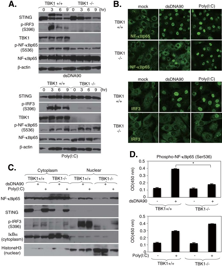 FIG 3