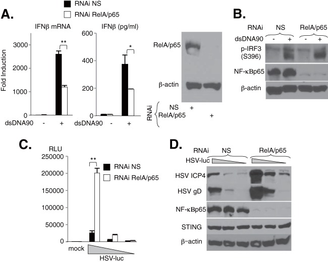 FIG 6