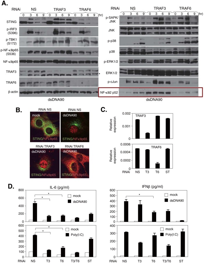 FIG 8