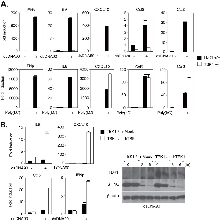 FIG 4