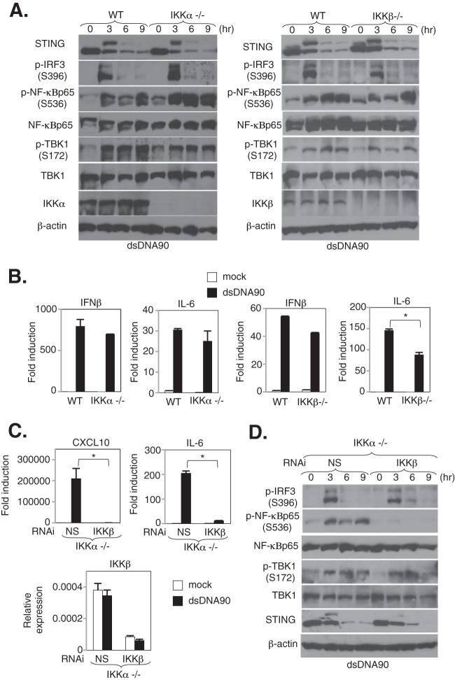 FIG 2