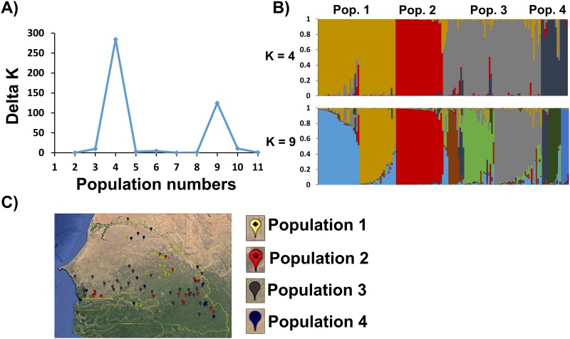 Fig 2