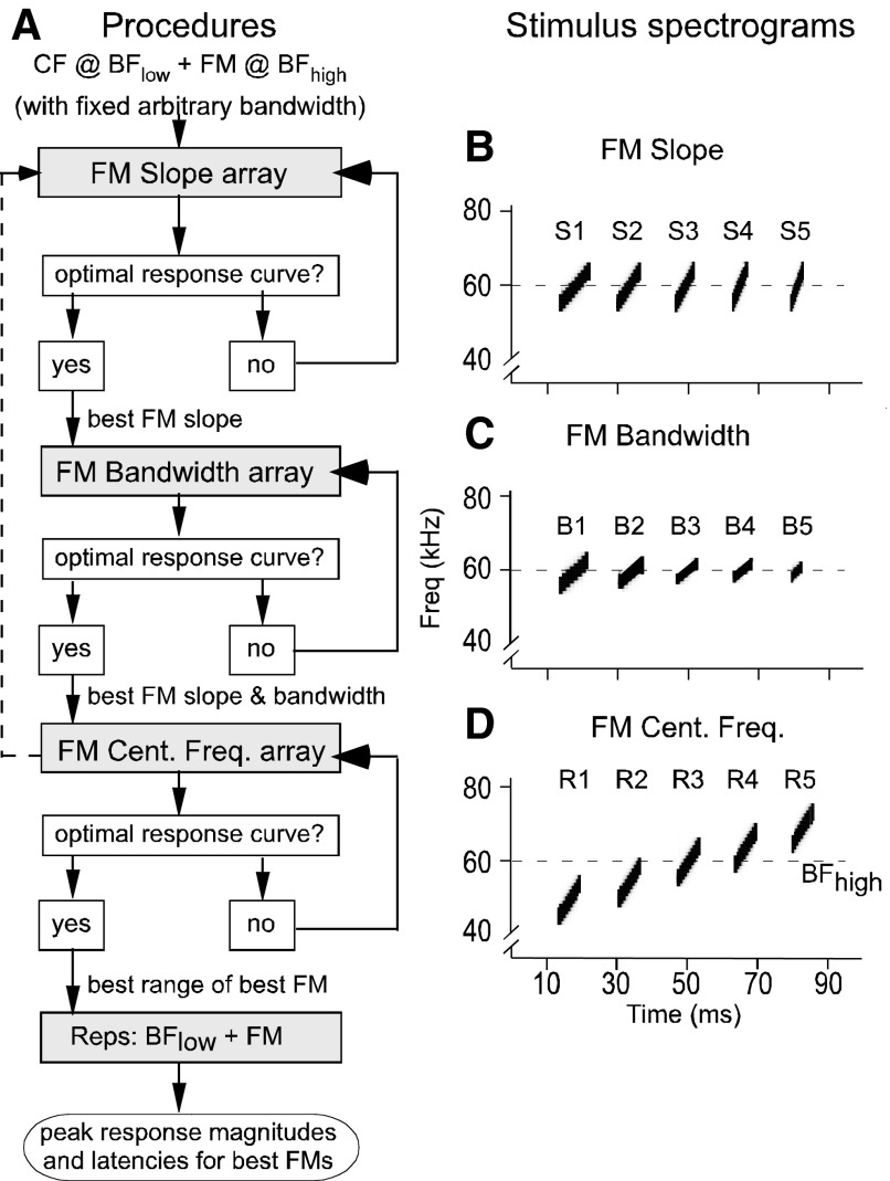 FIG. 2.