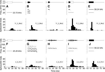 FIG. 13.