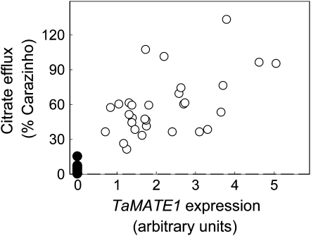 Figure 10.