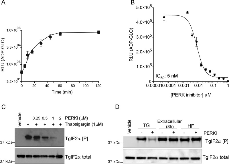 FIG 1