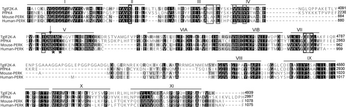 FIG 5