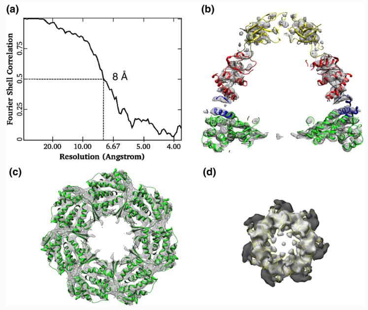 Fig. 4