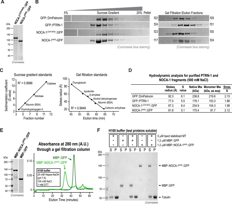 Figure 1—figure supplement 4.