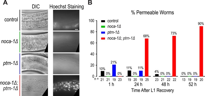 Figure 2—figure supplement 5.