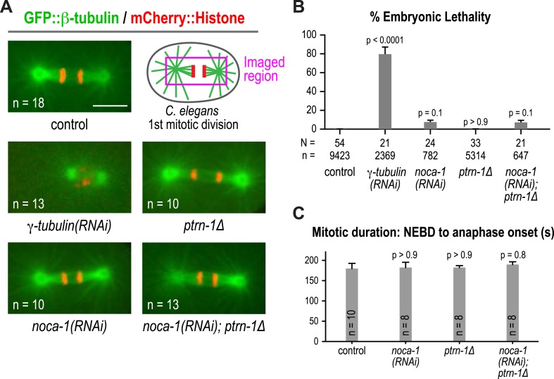 Figure 2—figure supplement 1.