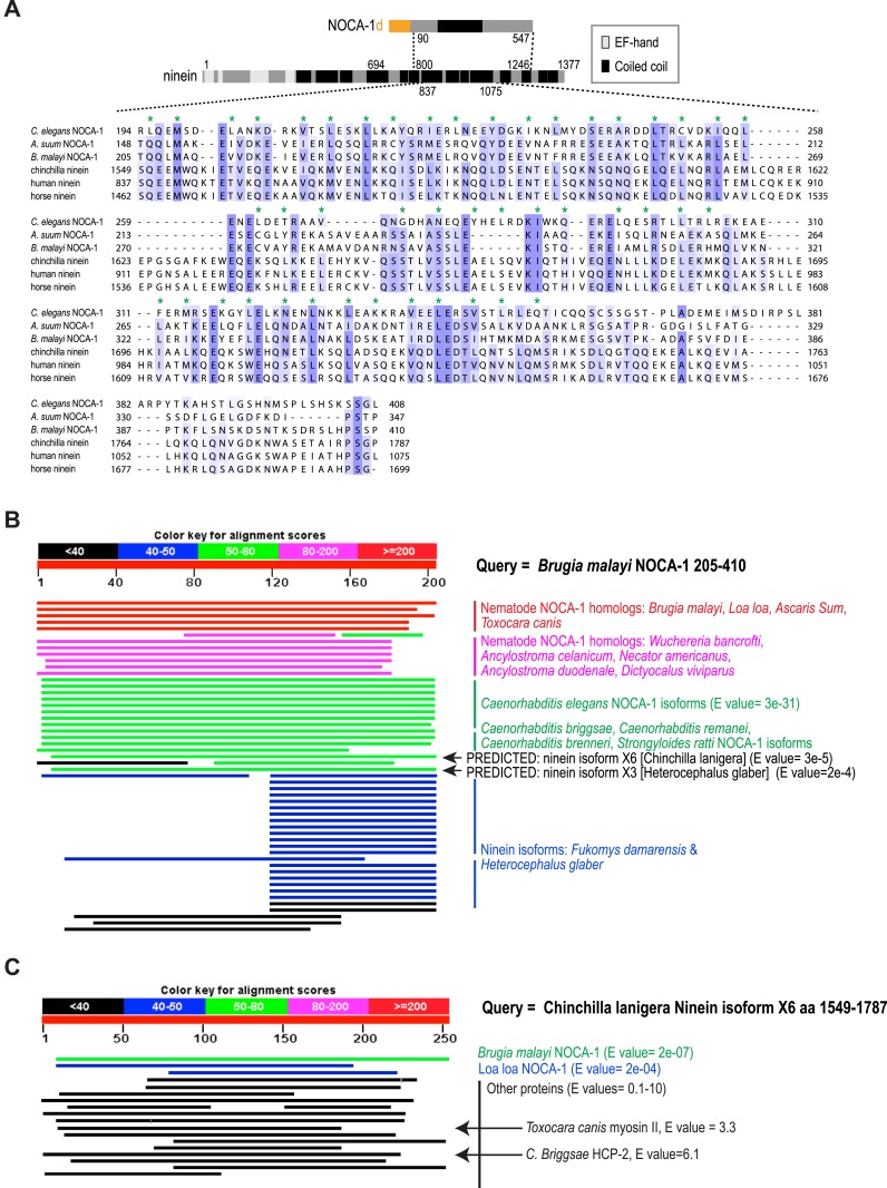 Figure 1—figure supplement 1.