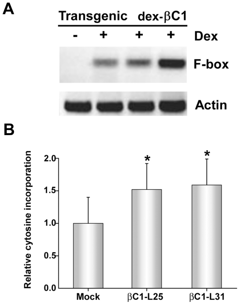 Figure 5