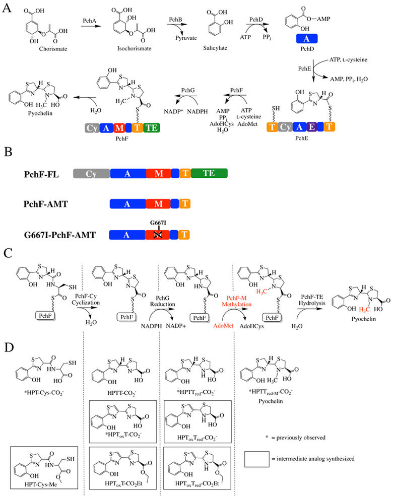 Figure 1: