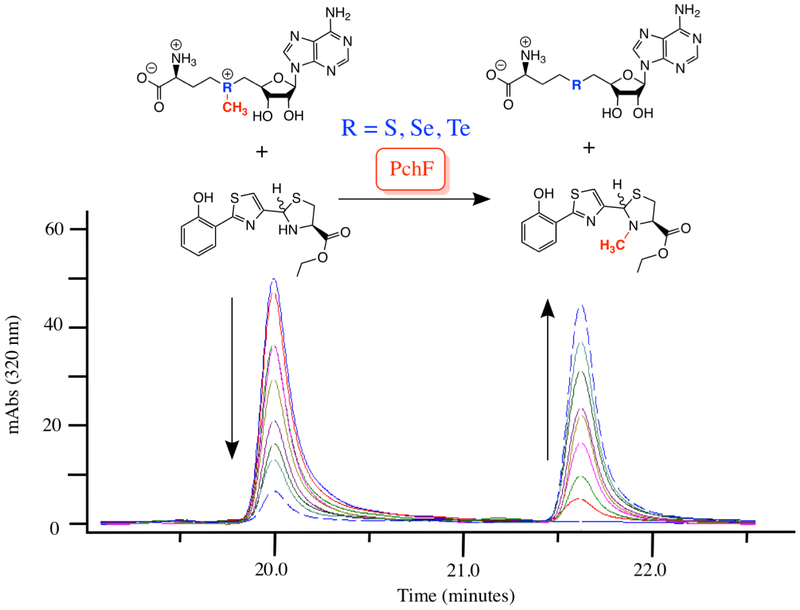 Figure 3: