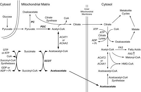 FIGURE 1.