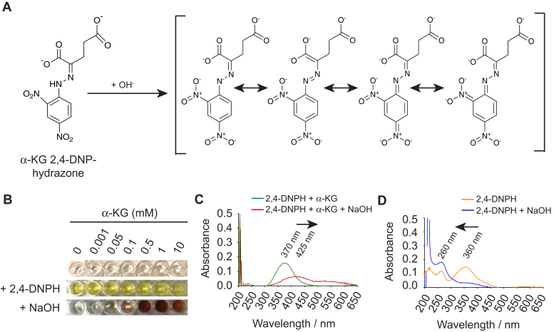 Figure 2