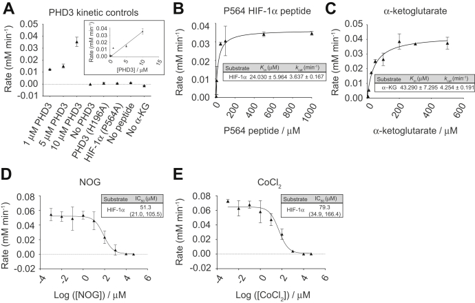 Figure 6